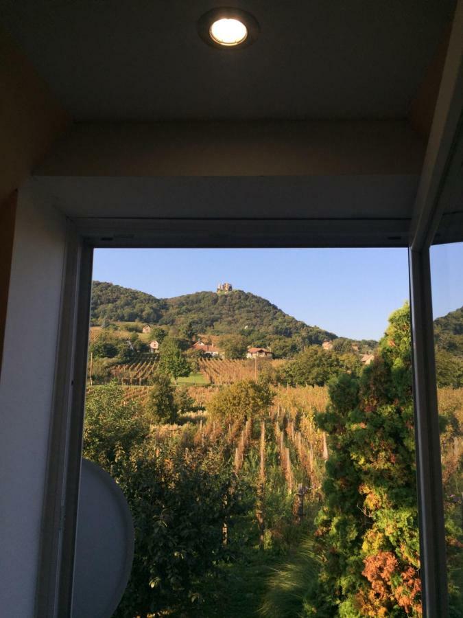 Ferienwohnung Izabella Vendeghaz Somlo Doba Exterior foto